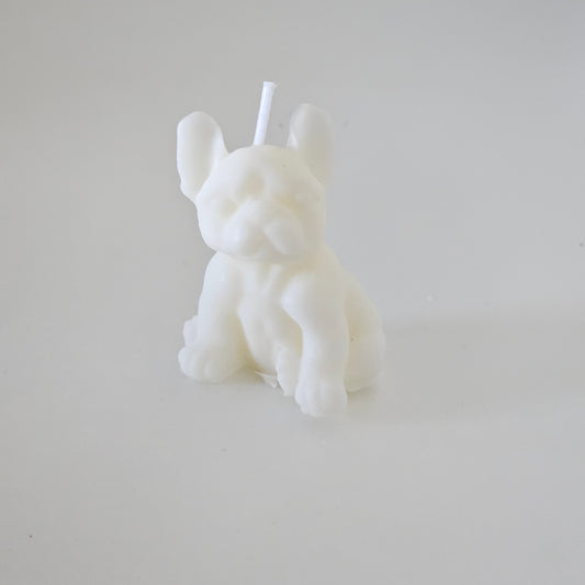 Französische Bulldogge